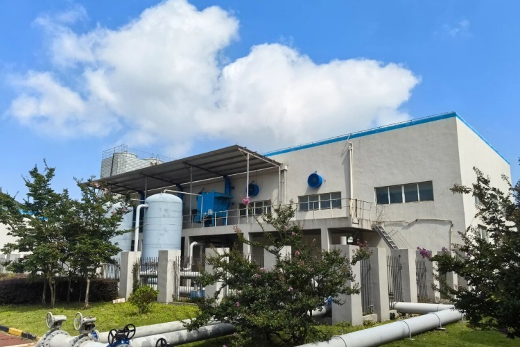 asa_images/10043.jpg asa_images/10043.jpg